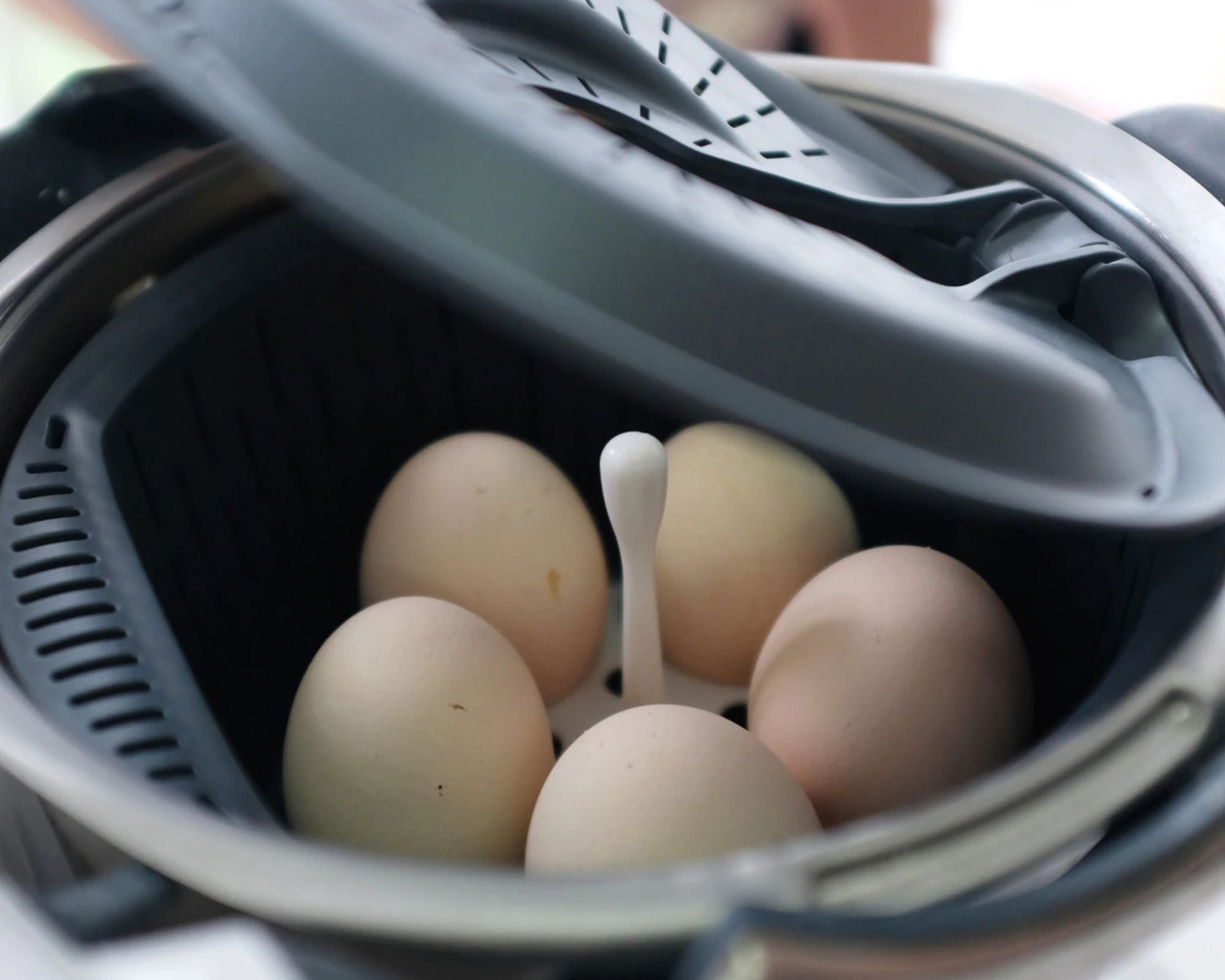 Vaporix - Egg Holder